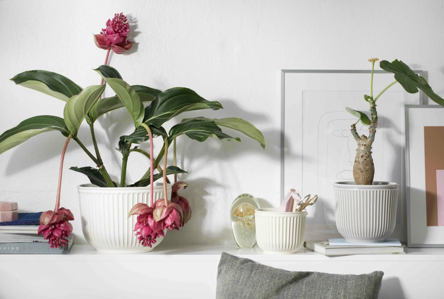 Kähler Small Unglazed Cream Hammershoi Flowerpot 3 Kähler Small Unglazed Cream Hammershoi Flowerpot